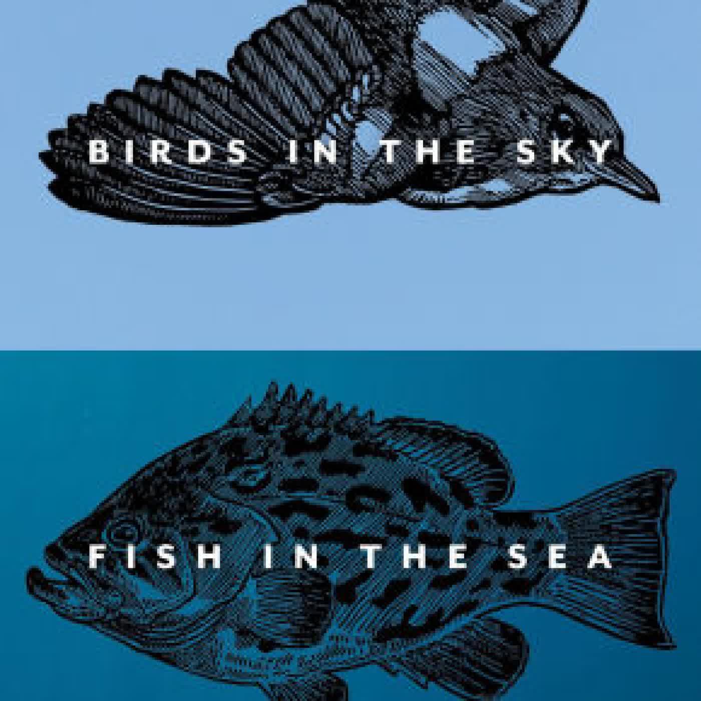 Read online: Birds in the Sky, Fish in the Sea: Attending to Creation with Delight and Wonder by Matthew Dickerson, Matthew L. Clark