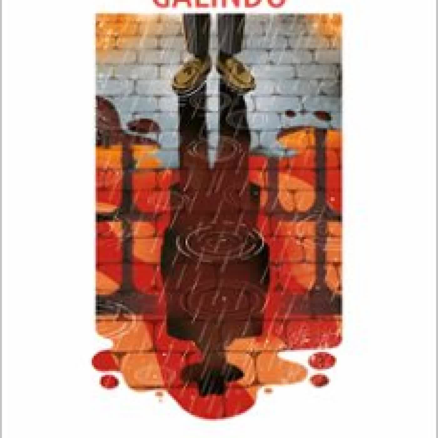 MUERTE PRIVADA (SEGOVIA NOIR 2) JUAN CARLOS GALINDO