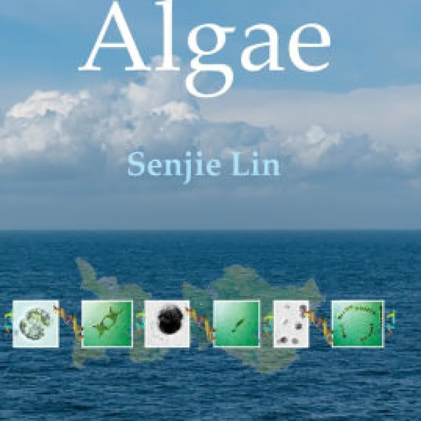 Read online: Ecological Genomics of Algae by Senjie Lin