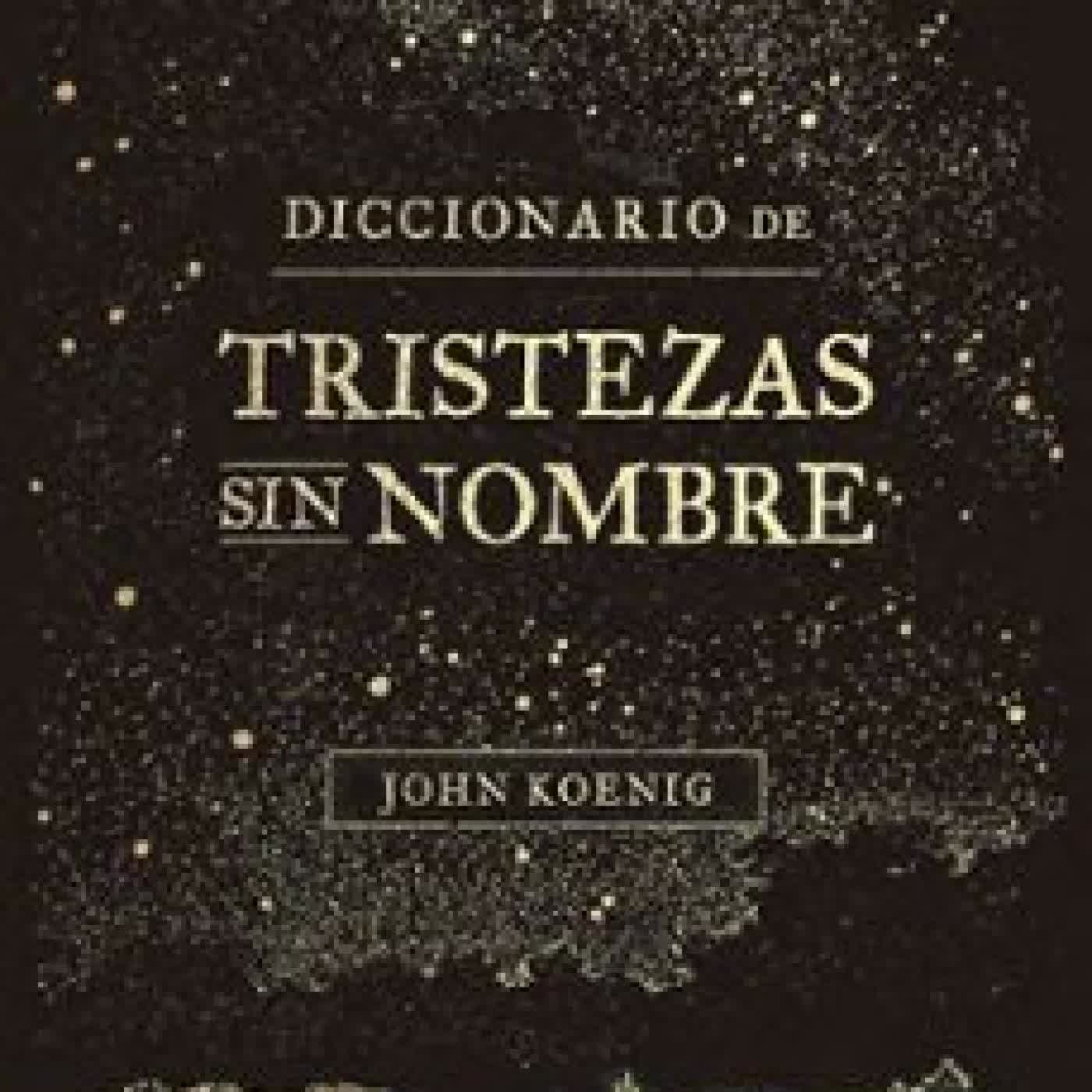 DICCIONARIO DE TRISTEZAS SIN NOMBRE JOHN KOENIG