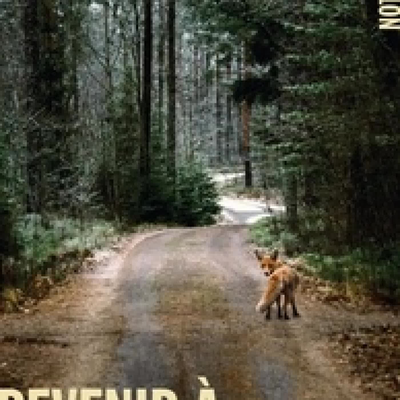 {téléchargement} Revenir à Marimbault