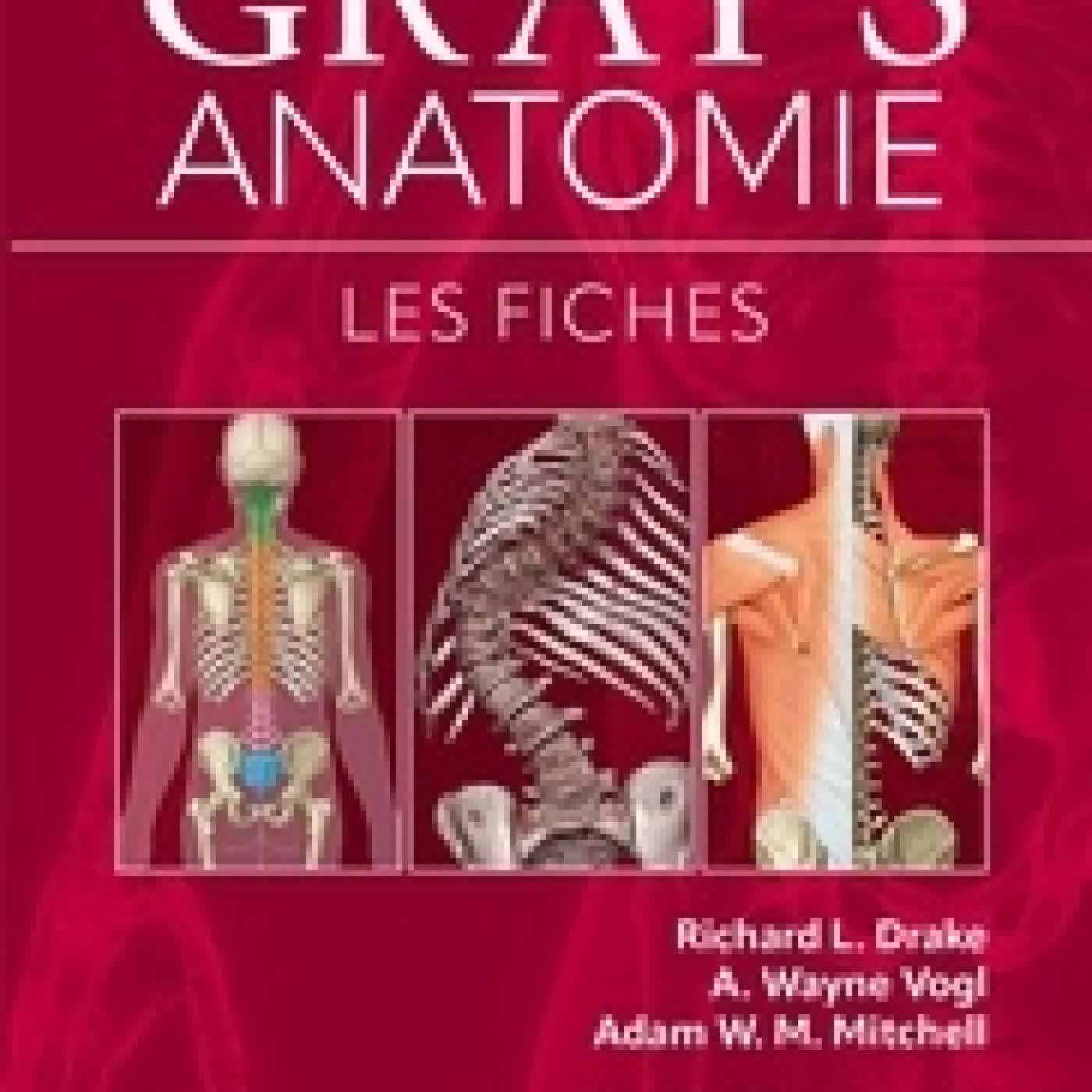 Lire en ligne : Gray's Anatomie. Les fiches5e édition