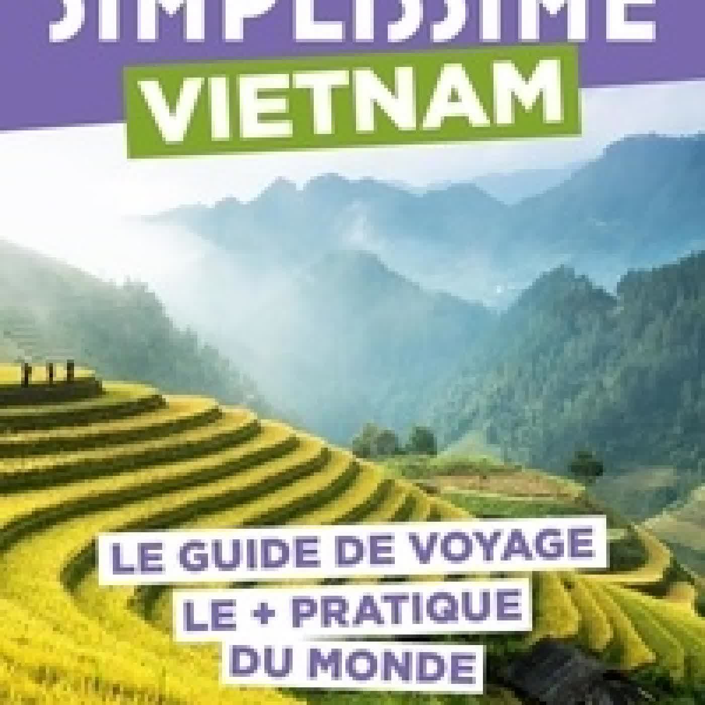 Lire en ligne : Vietnam. Le guide de voyage le + pratique du monde
