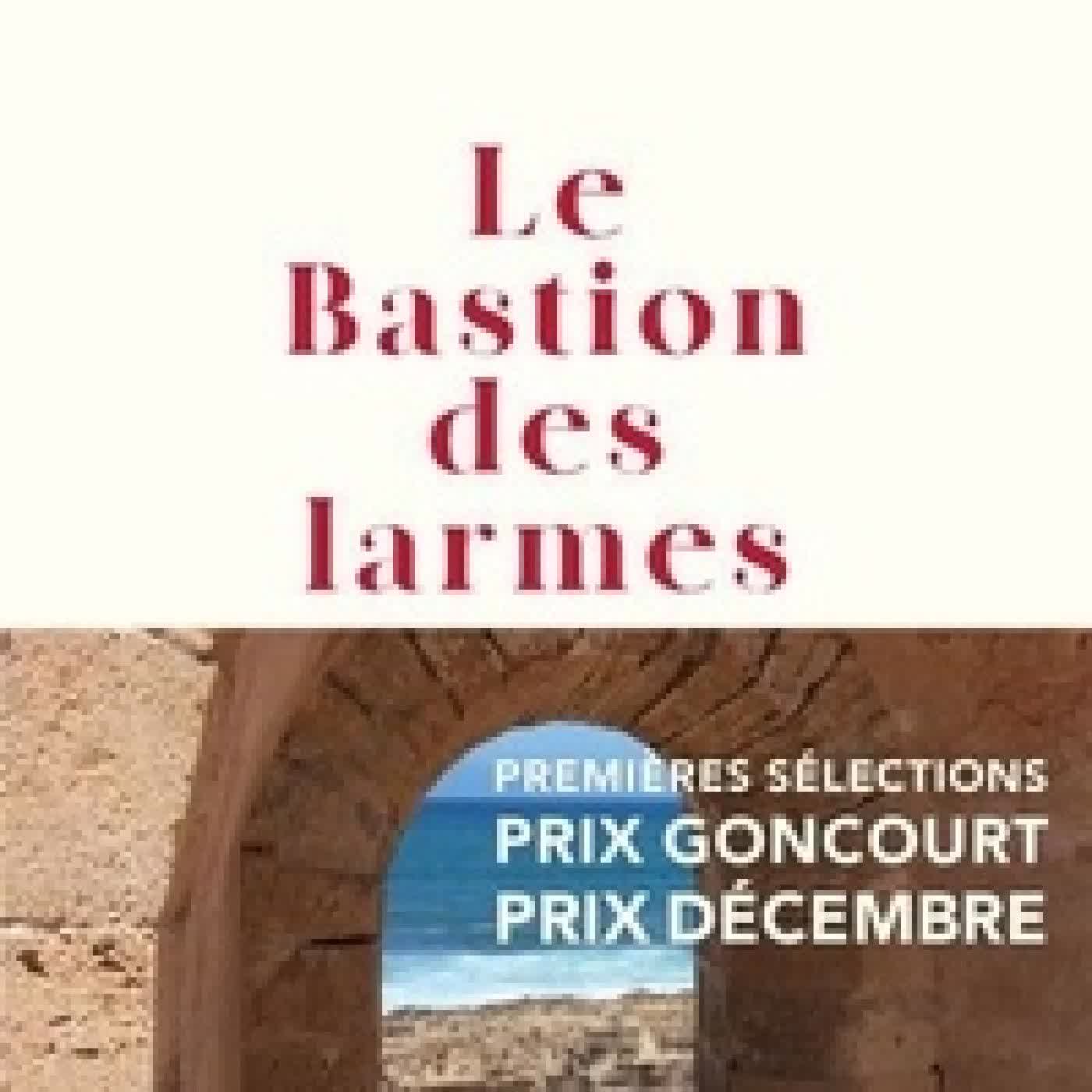 Lire en ligne : Le bastion des larmes