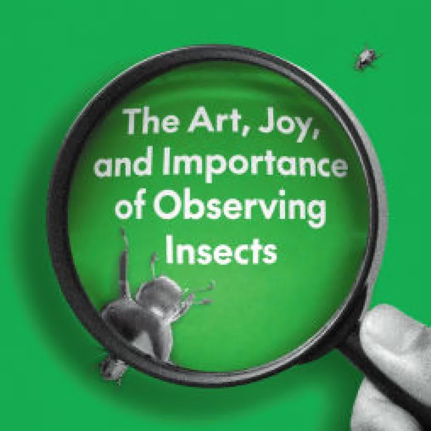 Bugwatching: The Art, Joy, and Importance of Observing Insects by Eric R. Eaton, Samantha Gallagher on Iphone New Format