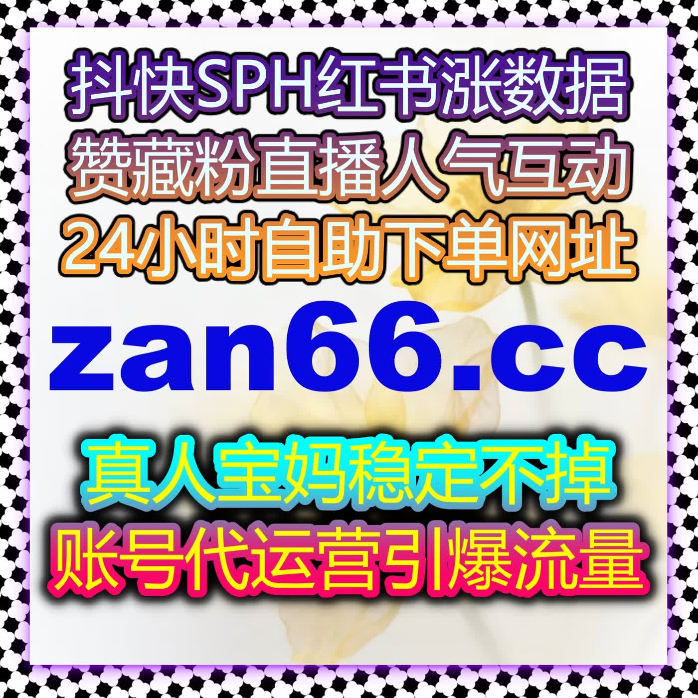 深耕汽车垂类内容价值 点赞粉丝播放阅读直播人气同步成长 便捷支持在线全自动下单
