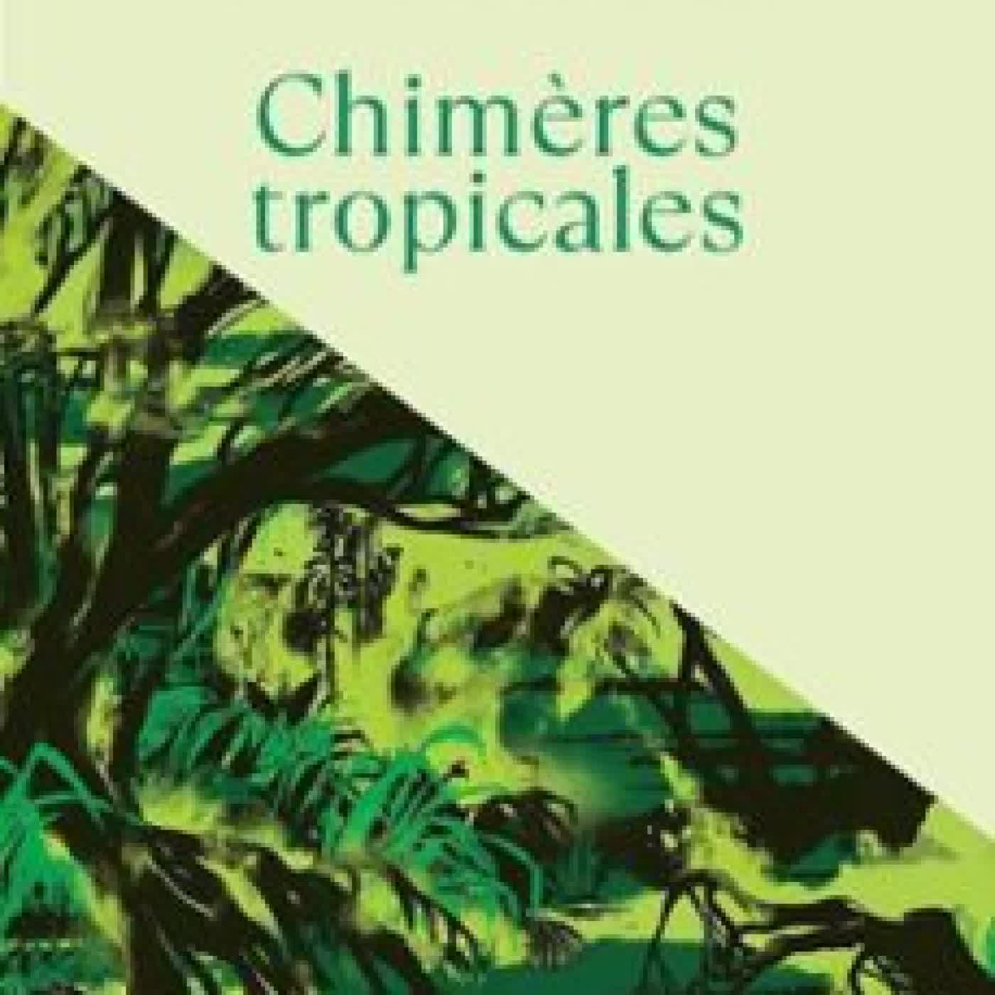 CHIMÈRES TROPICALES CORINNE MOREL DARLEUX