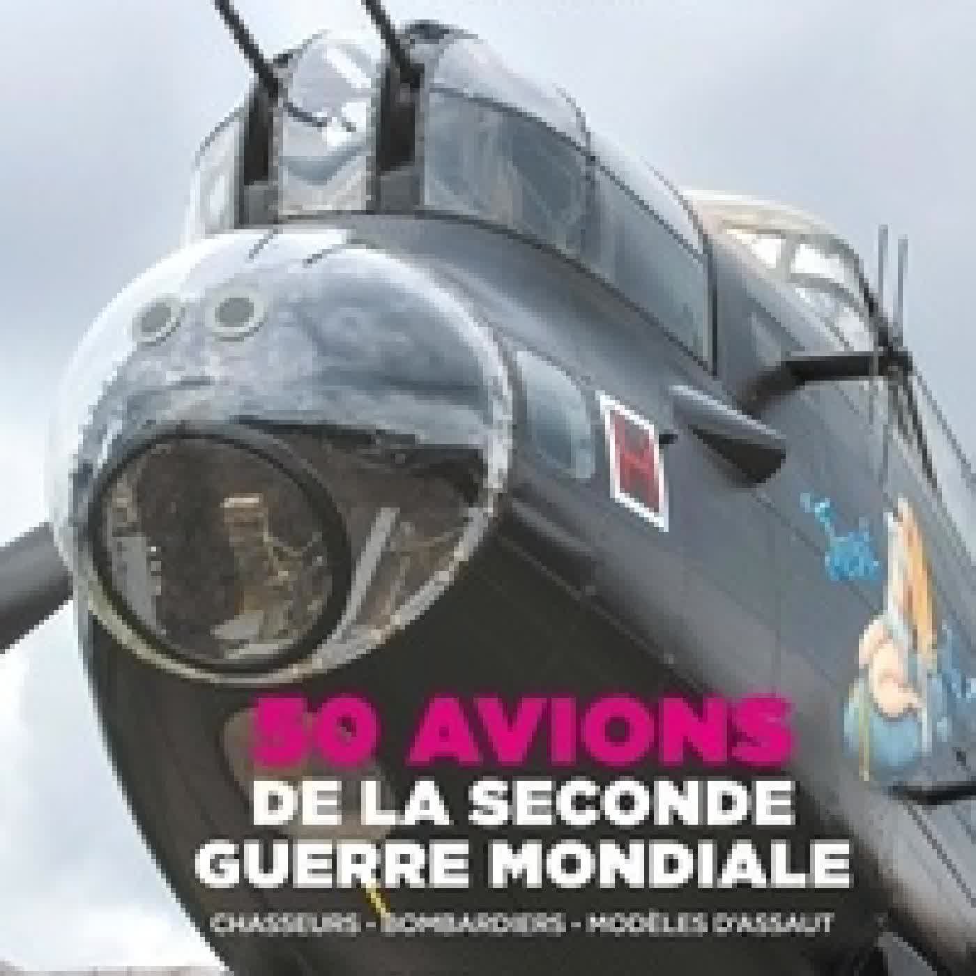 {téléchargement} 50 Avions de la Seconde Guerre Mondiale. Chasseurs, bombardiers, modèles d'assaut
