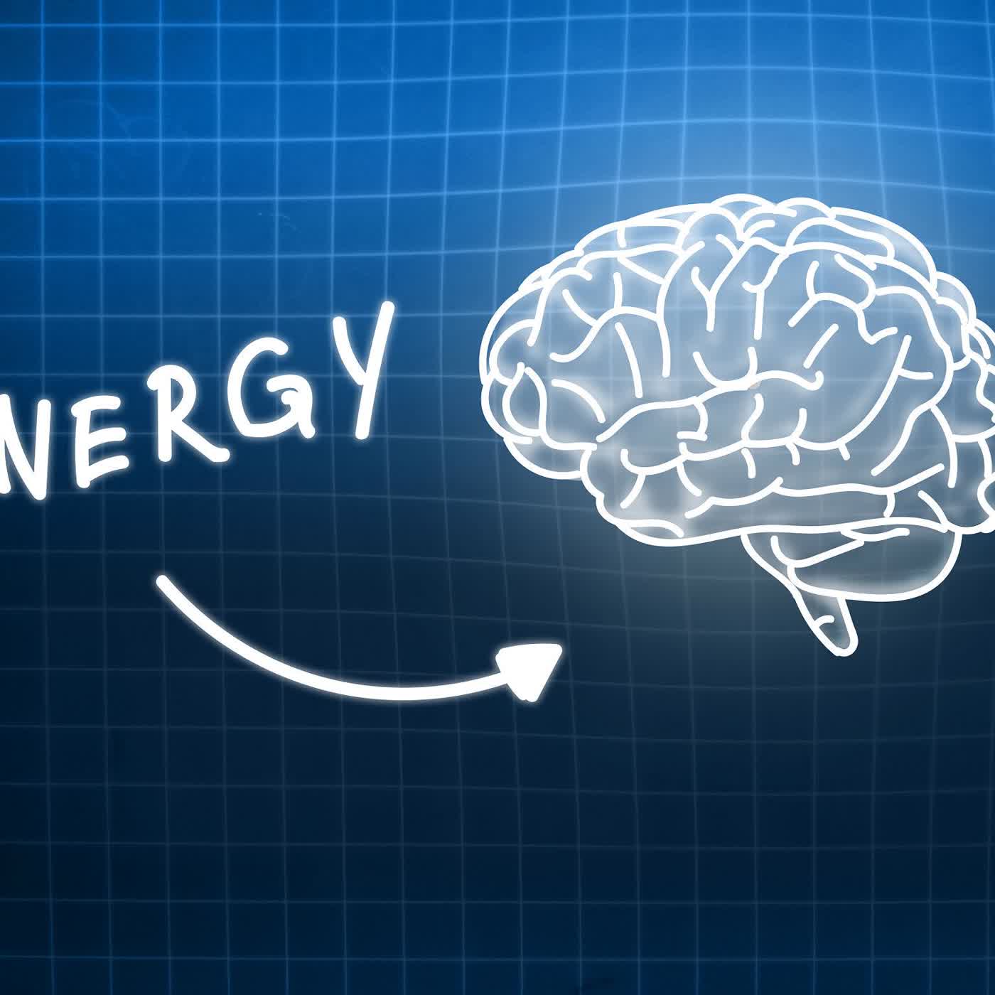 Marobrain Supplement Ingredients Explained for Better Focus