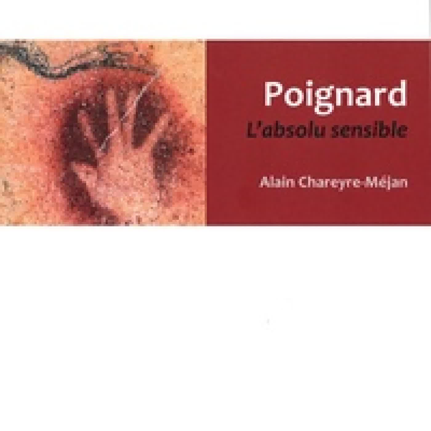 Télécharger Pdf Poignard. L'absolu sensible