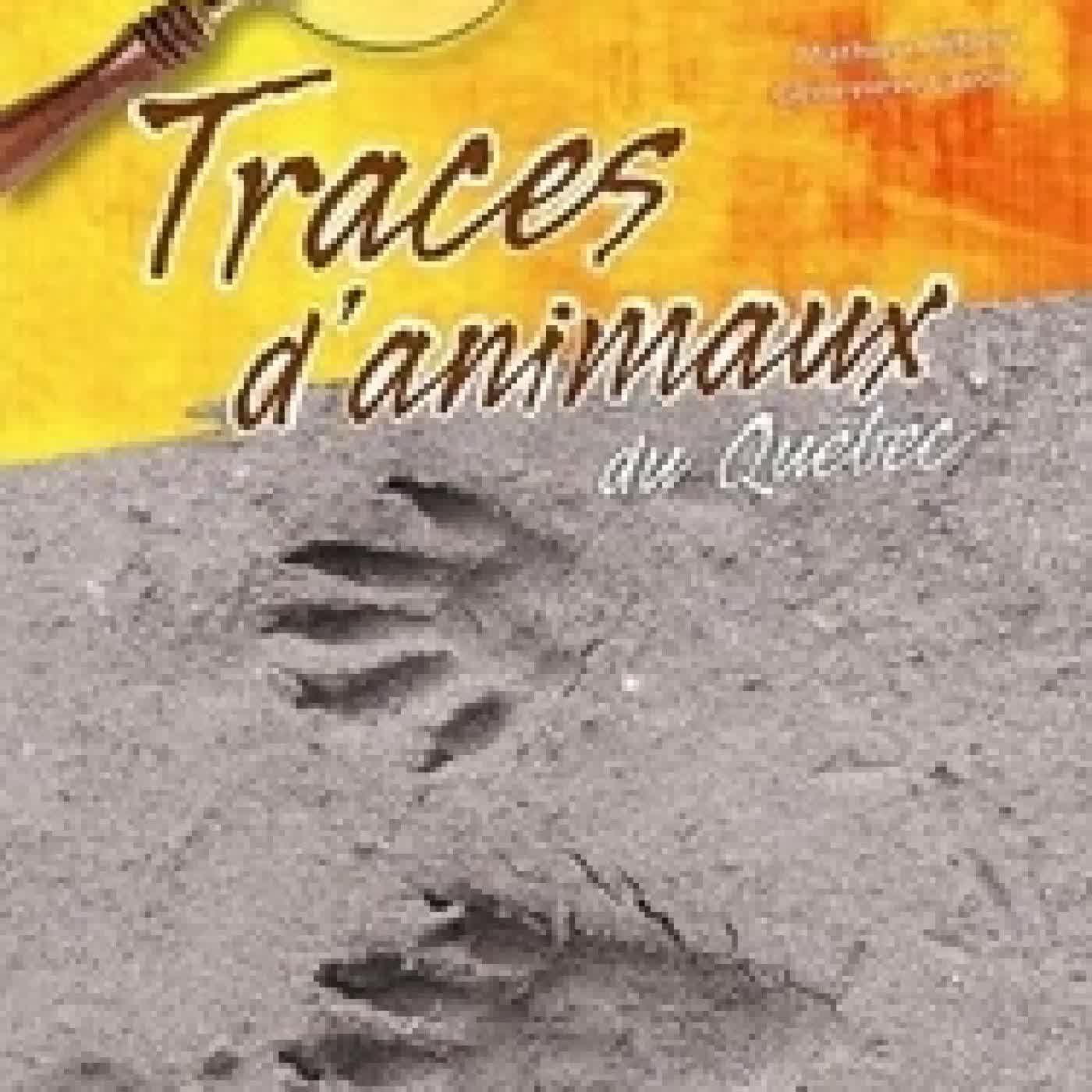 {téléchargement} Traces d'animaux du Québec - Guide d'identification