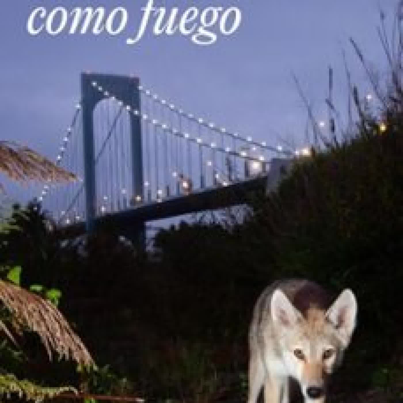 VOLVERÁN COMO FUEGO AYESHA L. RUBIO