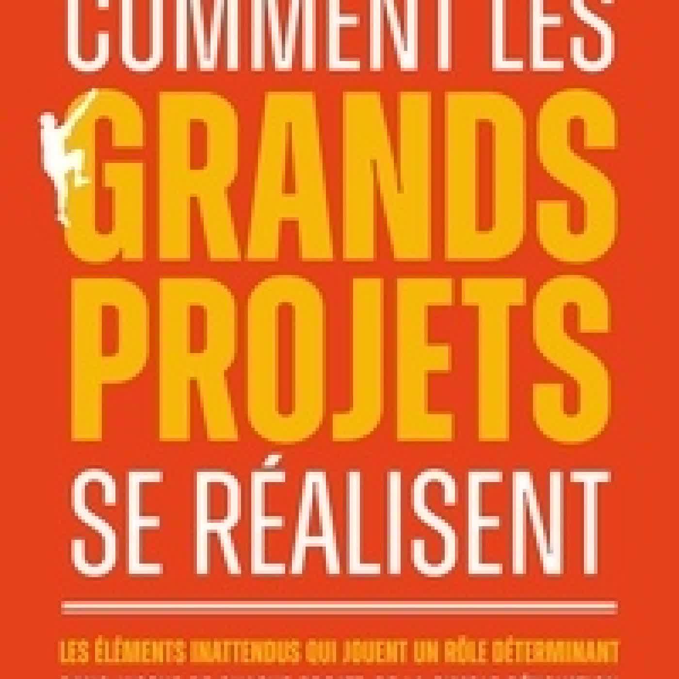 Télécharger Pdf Comment les grands projets se réalisent - Les éléments inattendus qui jouent un rôle déterminant dans l'issue de chaque projet, de la simple rénovation d'une maison à la complexité d'une exploration spatiale