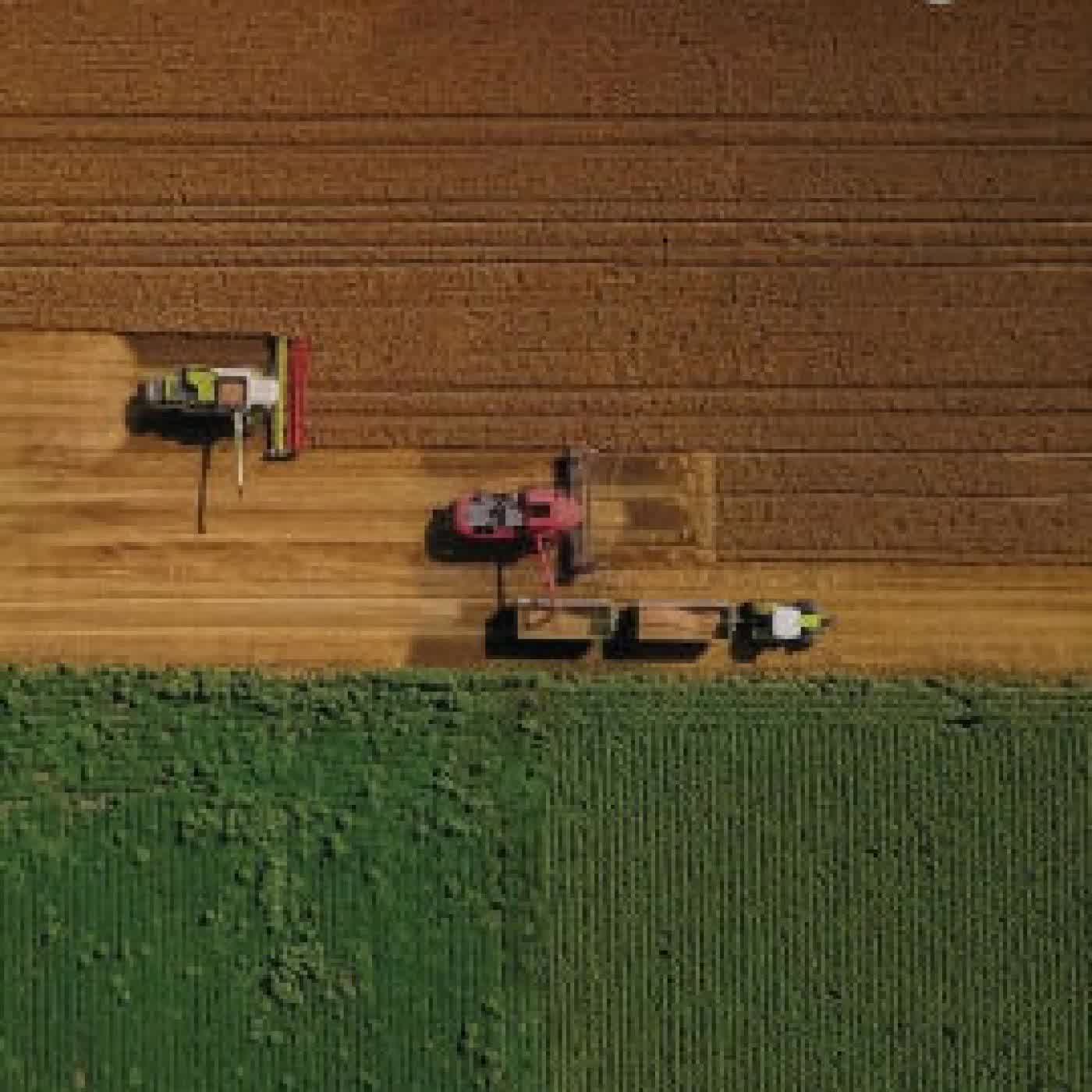 Read online: Price Setting by Truman F. Bewley