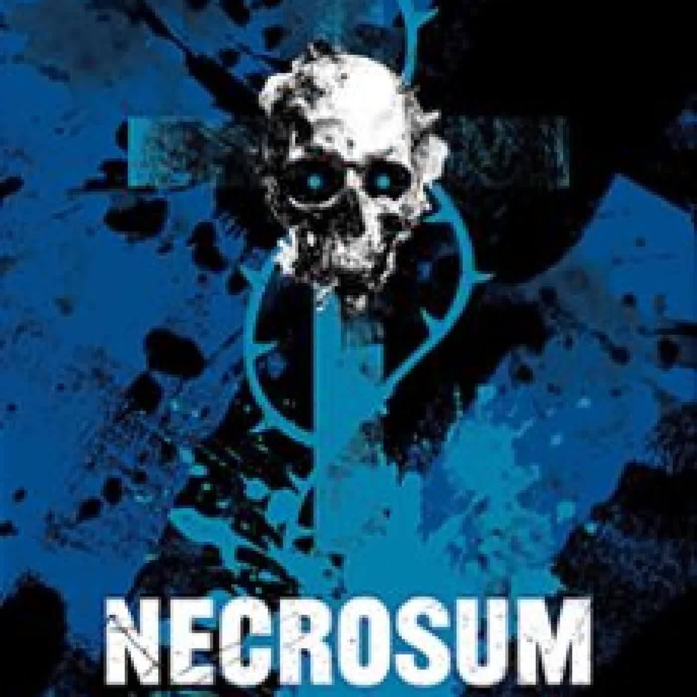 LOS CAMINANTES Nº 6 Carlos Sisí