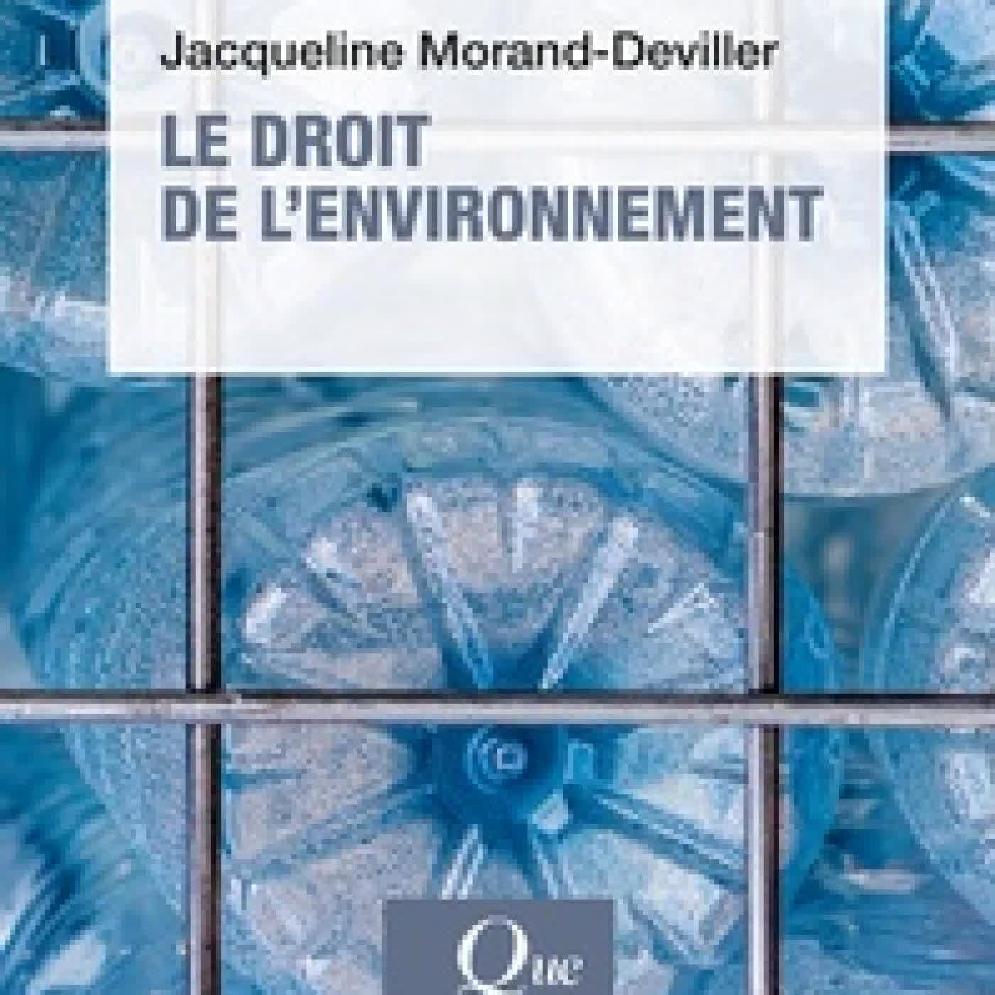 Lire en ligne : Le droit de l'environnement14e édition
