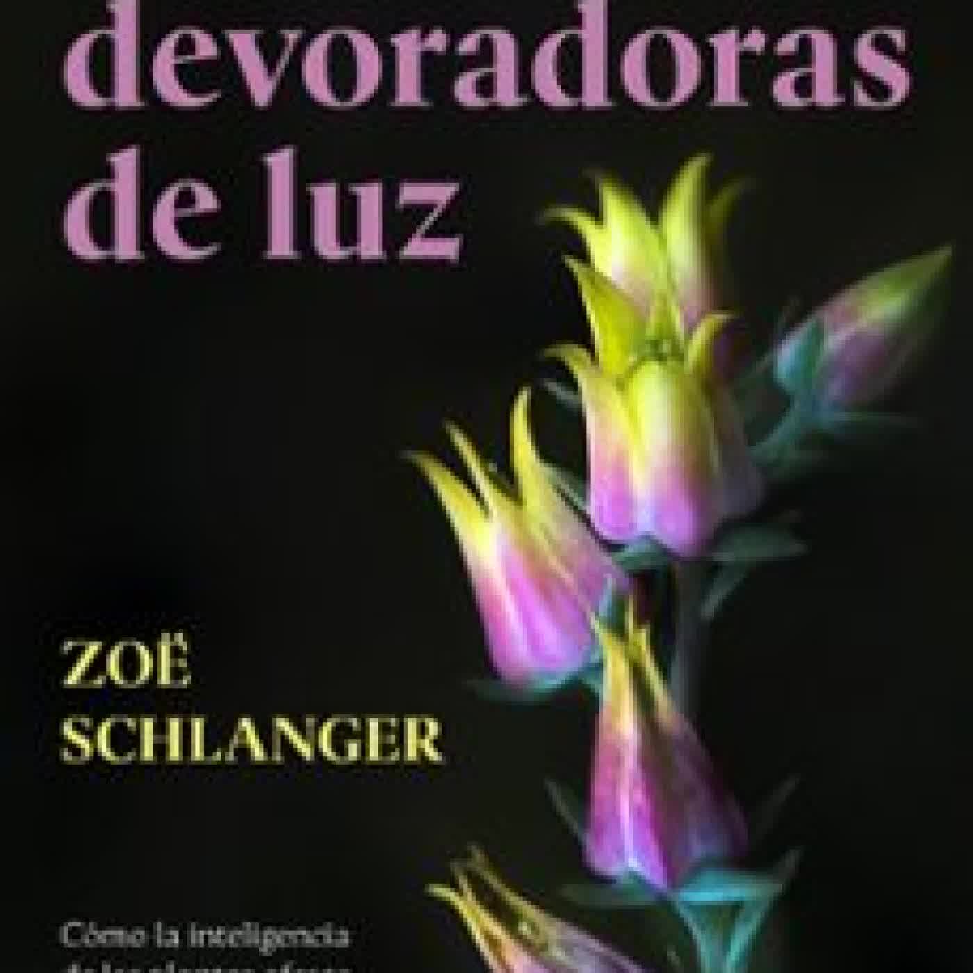 LAS DEVORADORAS DE LUZ ZOE SCHLANGER