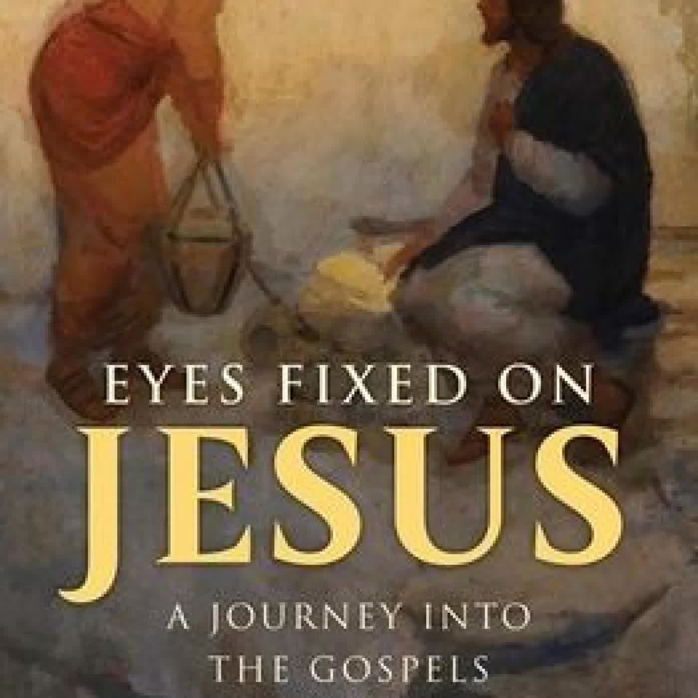 Read online: Eyes Fixed on Jesus, Volume 1: A Journey Into the Gospels by Meg Hunter-Kilmer