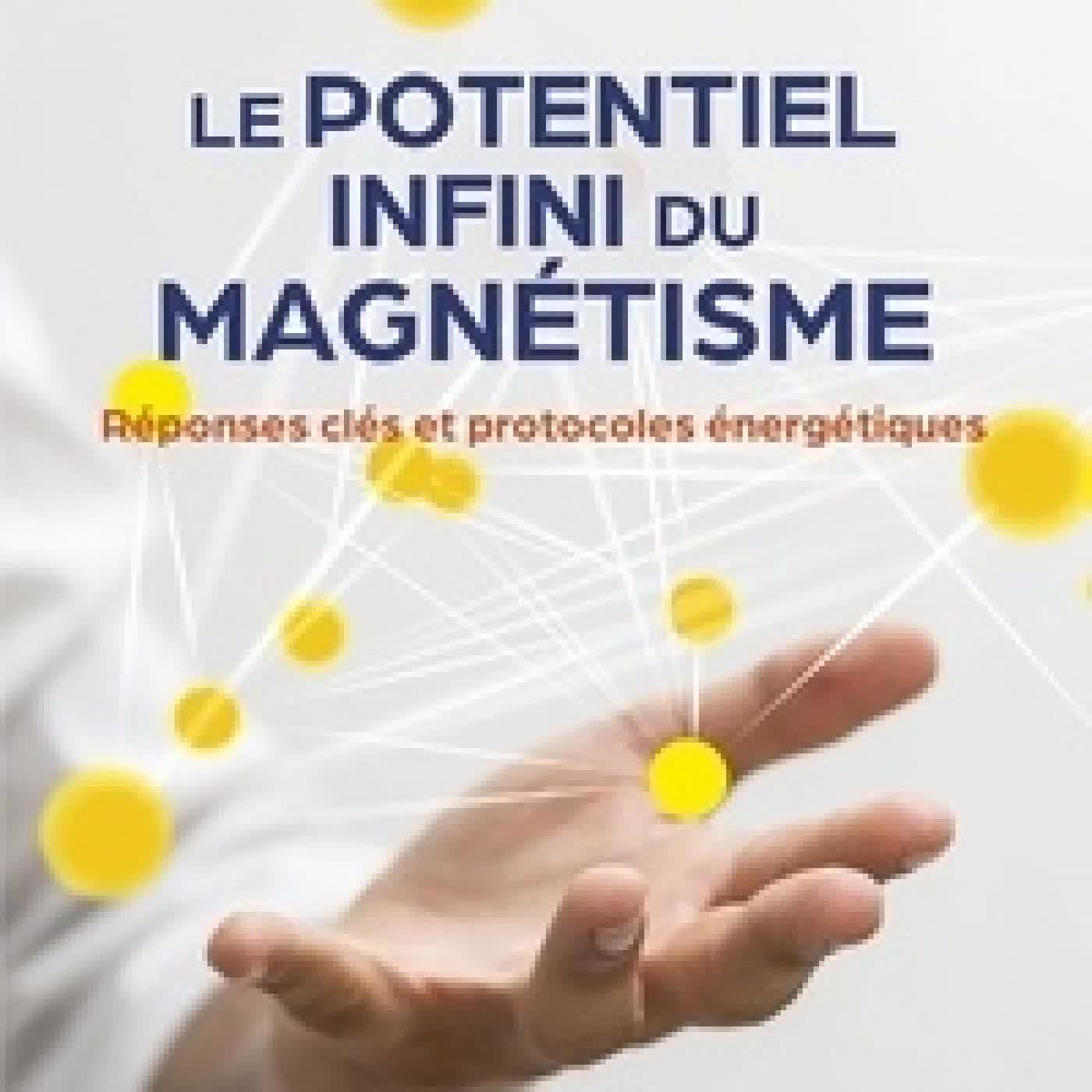 Lire en ligne : Le potentiel infini du magnétisme. Réponses clés et protocoles énergétiques