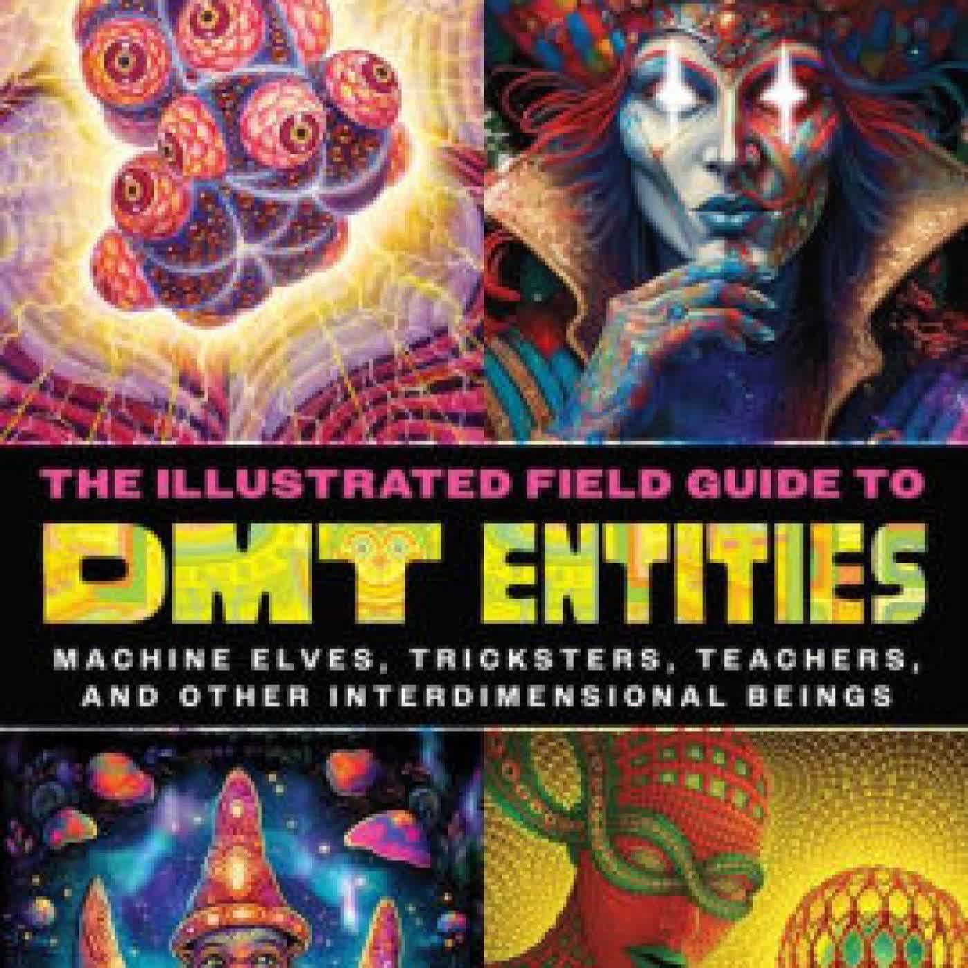 The Illustrated Field Guide to DMT Entities: Machine Elves, Tricksters, Teachers, and Other Interdimensional Beings by David Jay Brown, Sara Phinn Huntley on Iphone New Format