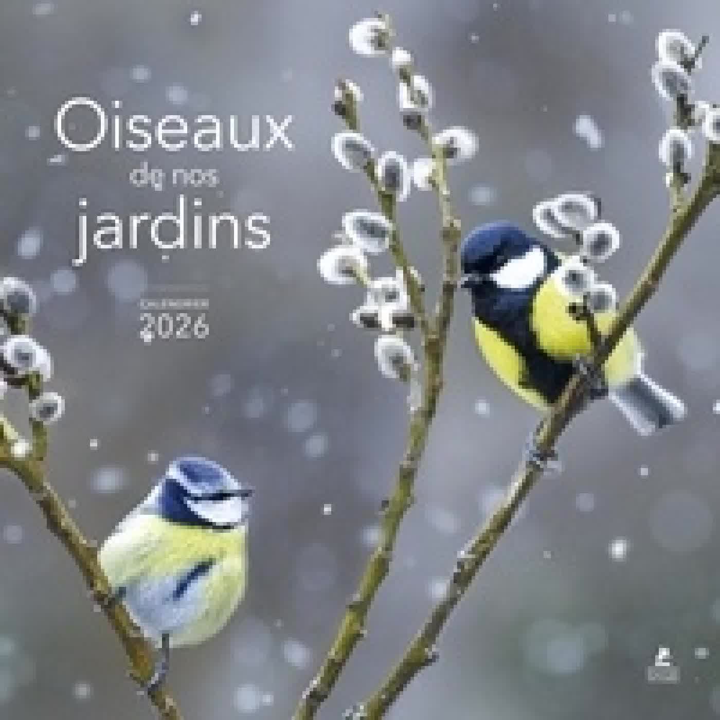 Lire en ligne : Calendrier Oiseaux de nos jardins Edition 2026