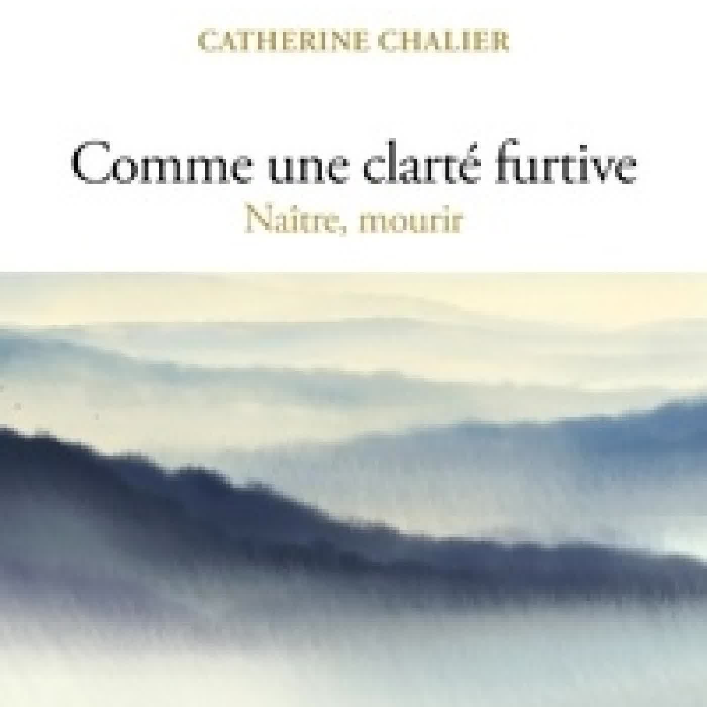 Lire en ligne : Comme une clarté furtive. Naître, mourir