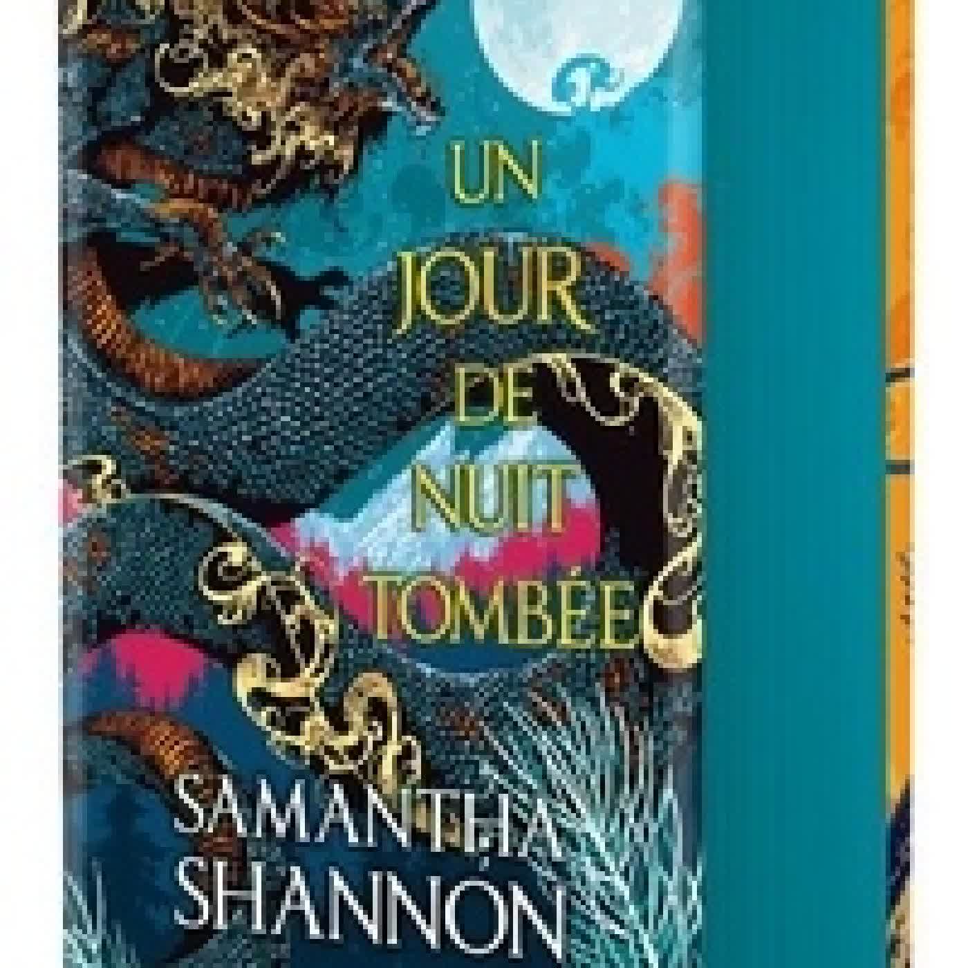 Lire en ligne : Un jour de nuit tombée