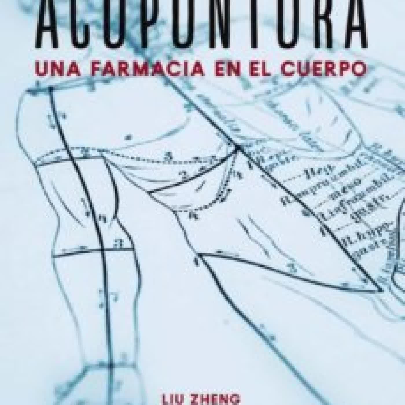 ACUPUNTURA: UNA FARMACIA EN EL CUERPO (LIBROS SINGULARES) LIU ZHENG