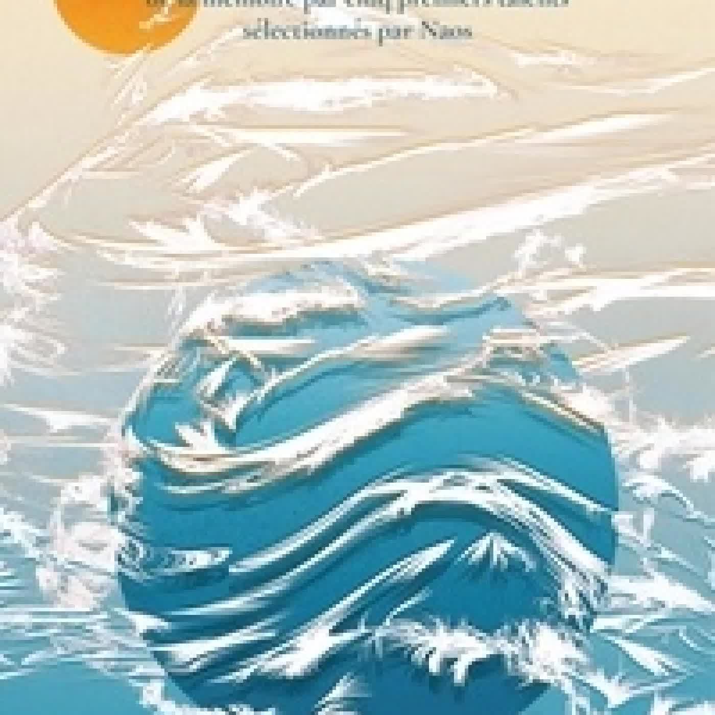 Télécharger Pdf Memories. Cinq nouvelles inédites Young Adult sur le thème de la mémoire par cinq premiers talents sélectionnés par Naos