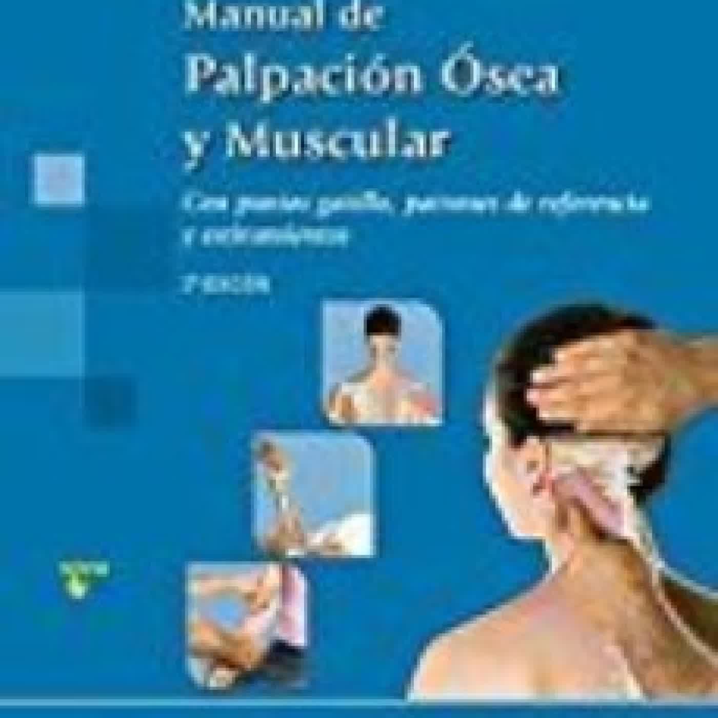 MANUAL DE PALPACION OSEA Y MUSCULAR: CON PUNTOS GATILLO, PATRONES DE REFERENCIA Y ESTIRAMIENTOS (2ª ED.) JOSEPH E. MUSCOLINO