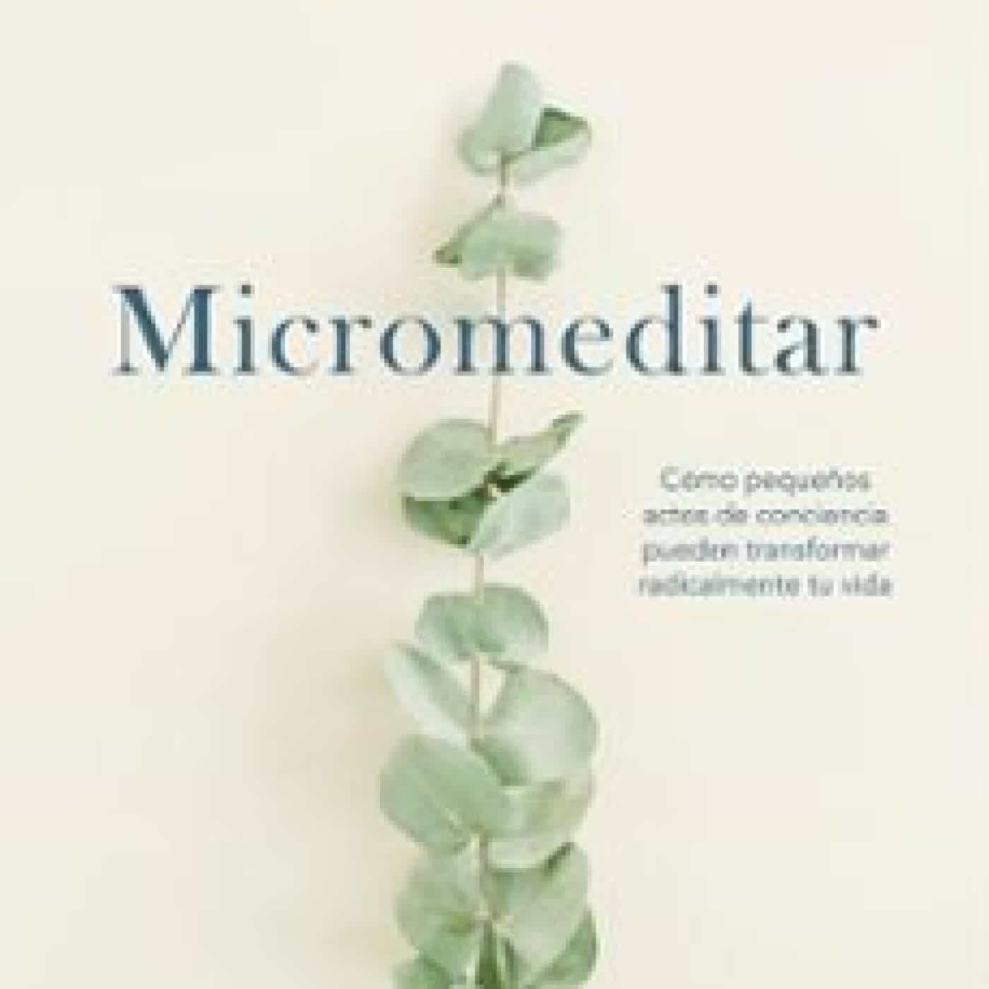MICROMEDITAR Javier Salinas