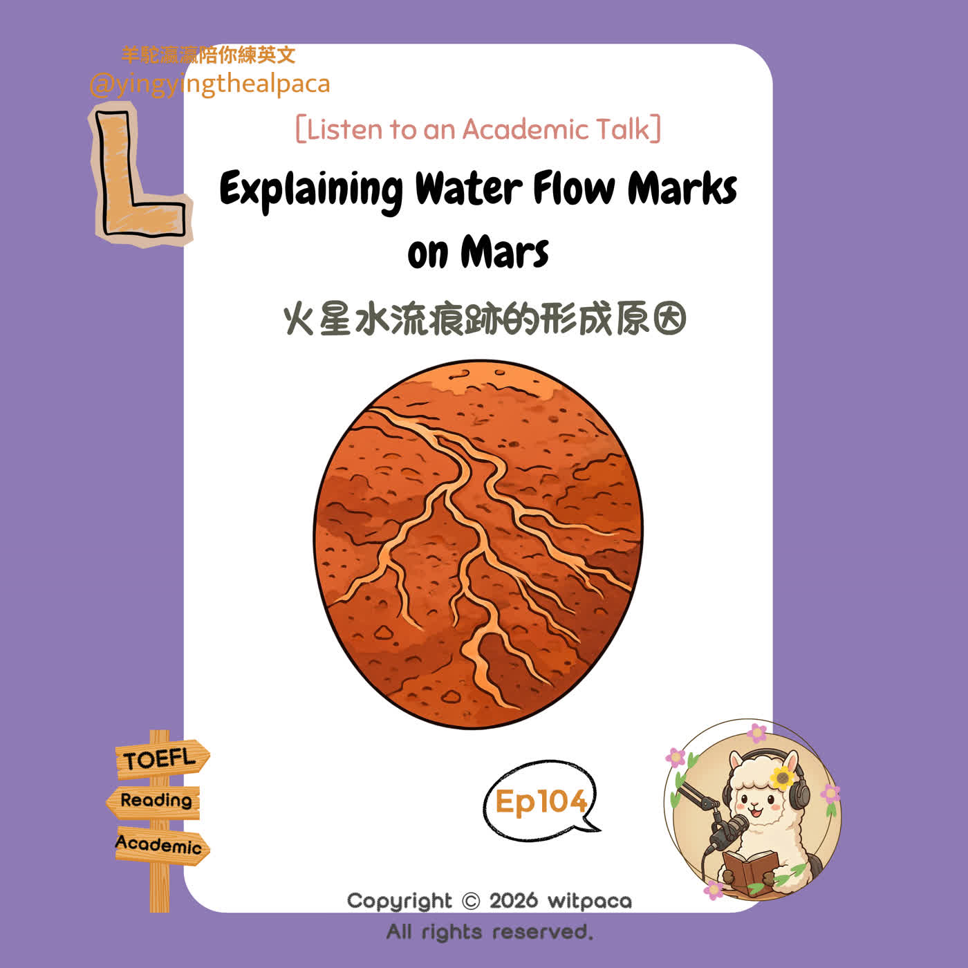 羊駝瀛瀛陪你練英文