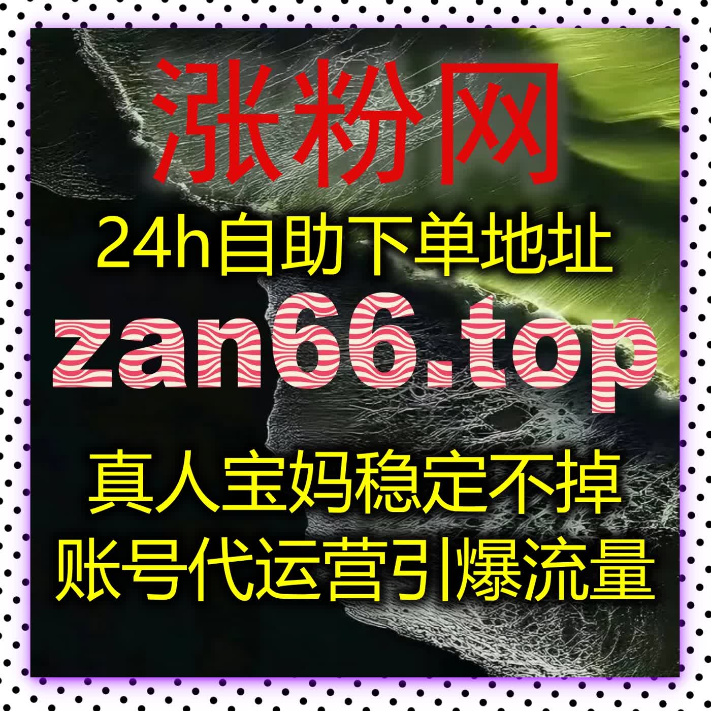 精准流量提升定制方案，微信公众号全维度运营数据稳步增长
