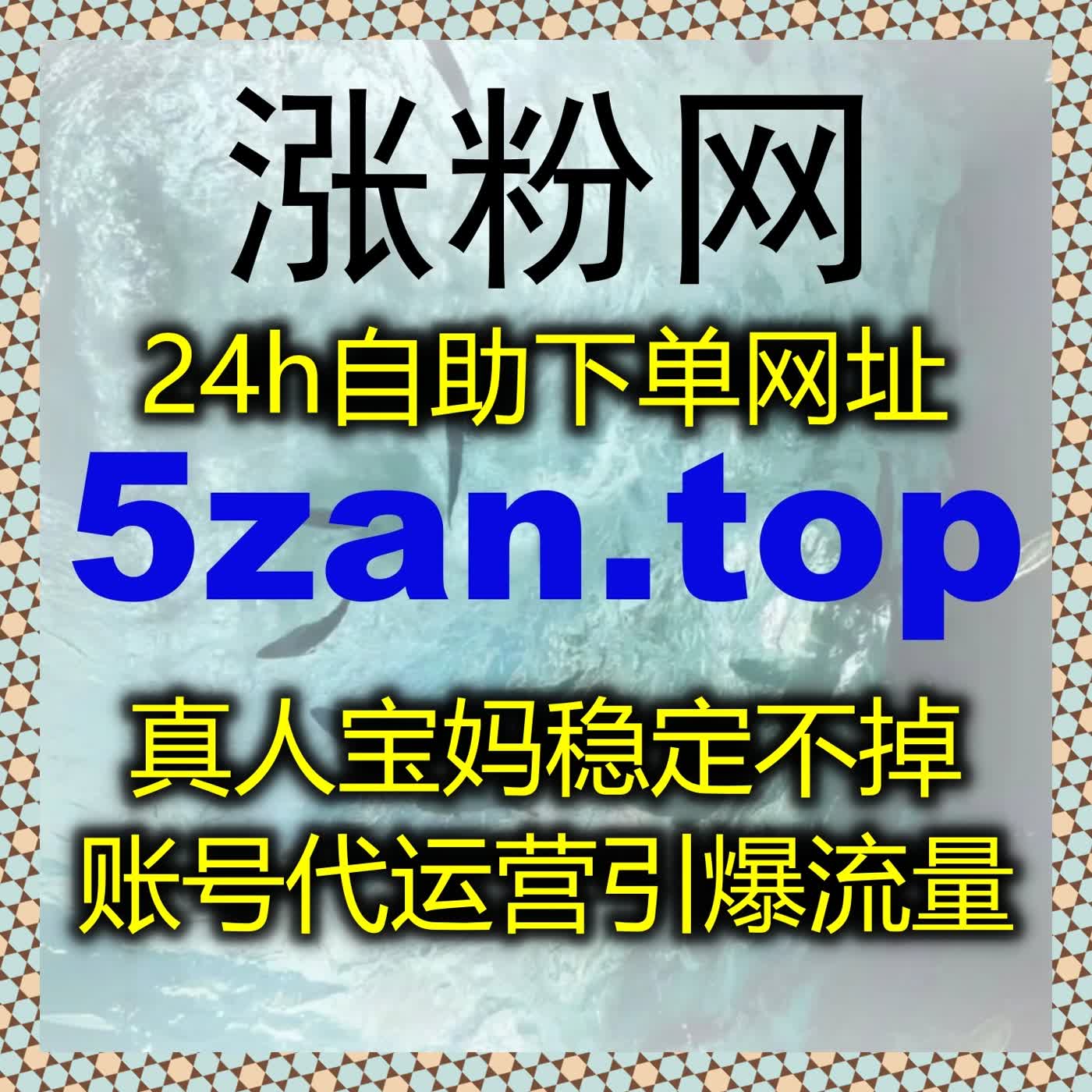 央广网文章阅读与紫牛新闻互动优化方案，在线全自动下单助力内容传播 episode artwork