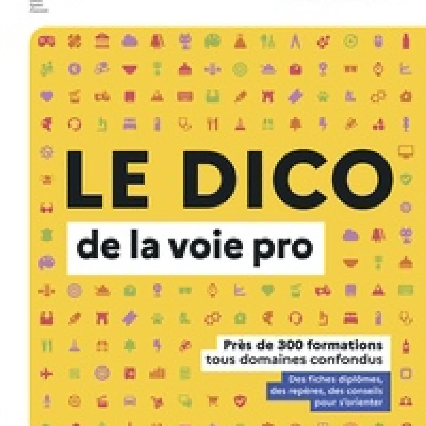 {téléchargement} Le dico de la voie pro. Près de 300 formations tous domaines confondus