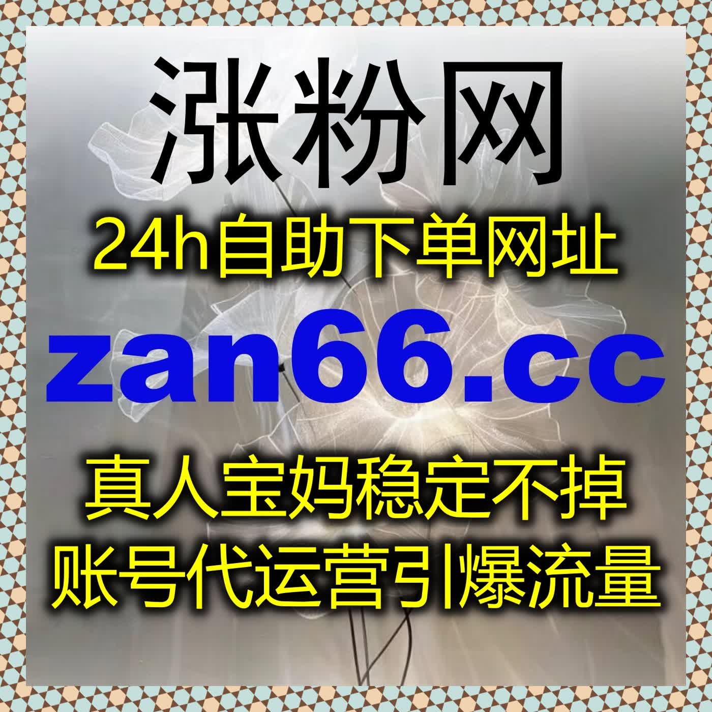 全方位流量提升解决方案，数据真实可靠，助力多平台账号长期稳定增长 episode artwork
