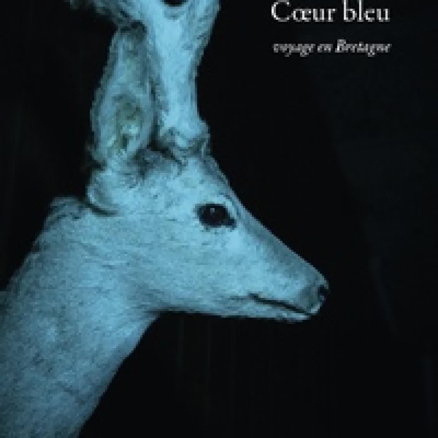 Télécharger Pdf Coeur bleu