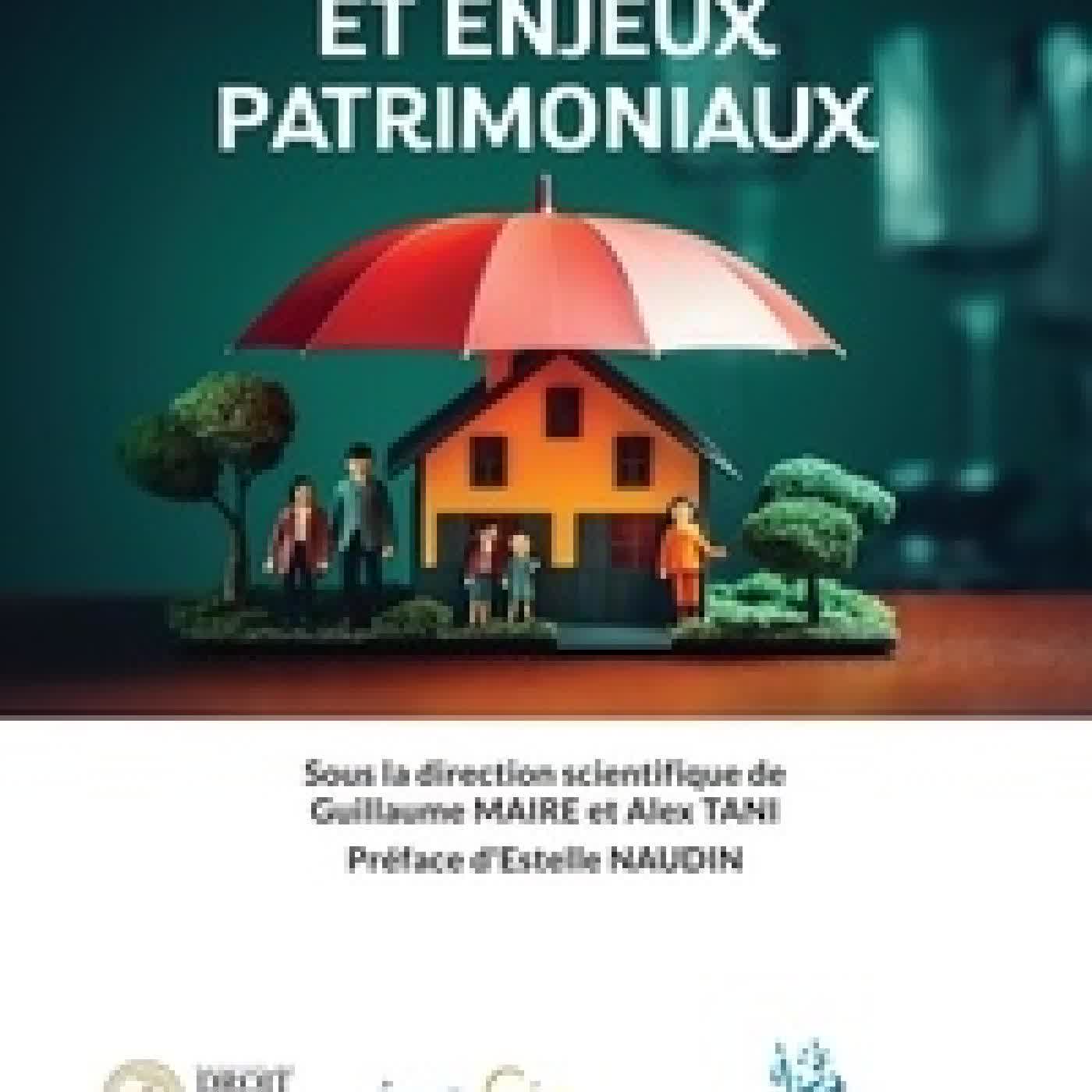 Lire en ligne : Assurance - vie et enjeux patrimoniaux