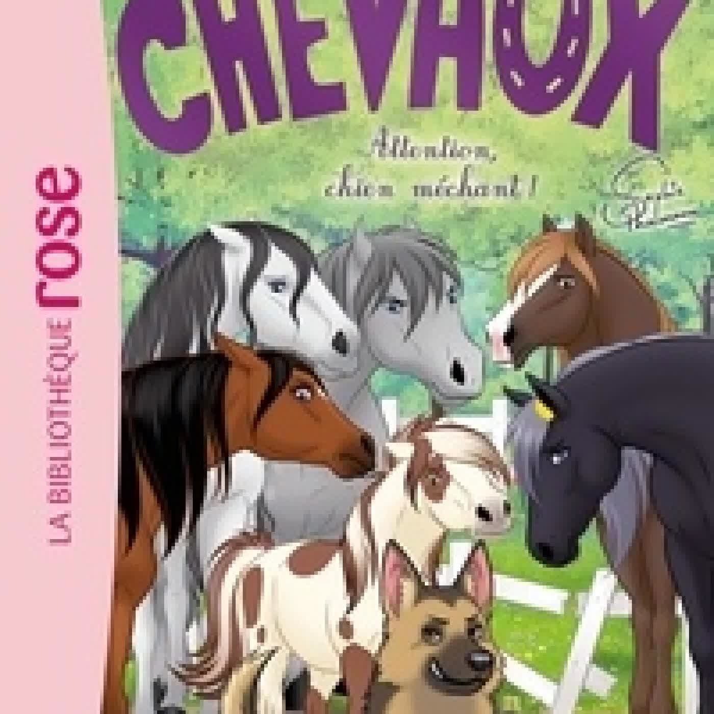 {téléchargement} Mes amis les chevaux Tome 51Attention, chien méchant !