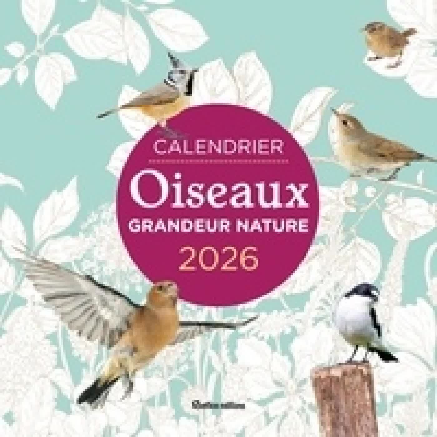 Télécharger Pdf Calendrier Oiseaux grandeur nature Edition 2026