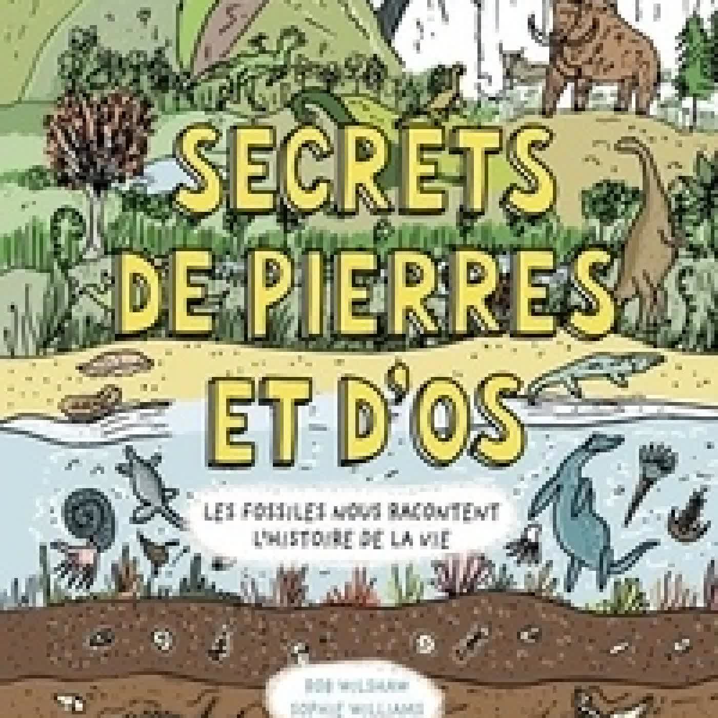 Télécharger Pdf Secrets de pierres et d'os. Les fossiles nous racontent l'histoire de la vie