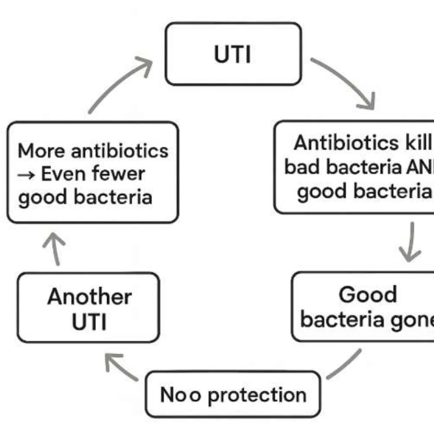 My Flora Biotics UK: The Science Behind Its UTI-Fighting Ingredients