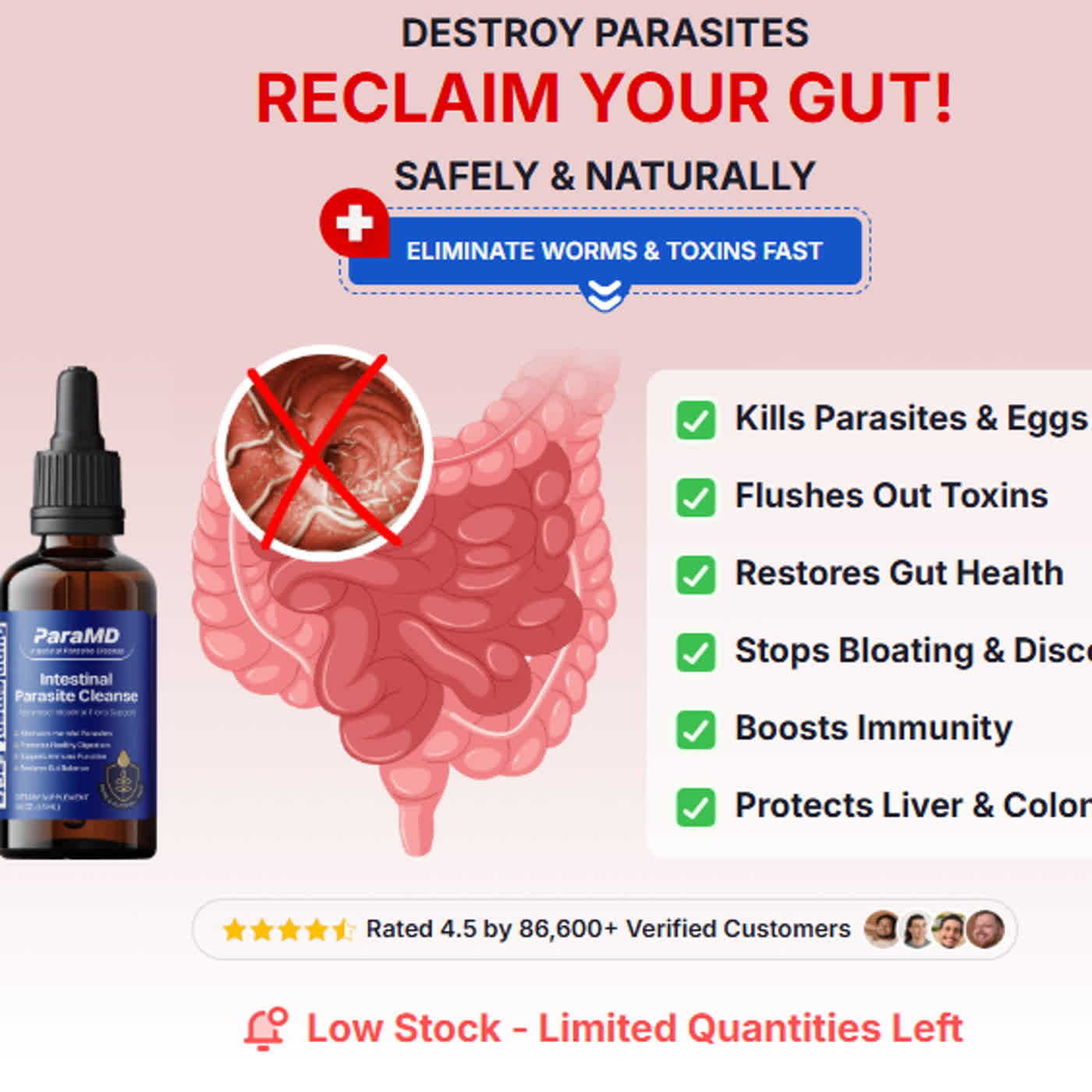 ParaMD Parasite Cleanse Reviews: Is It Best for Gut Health in New Zealand?