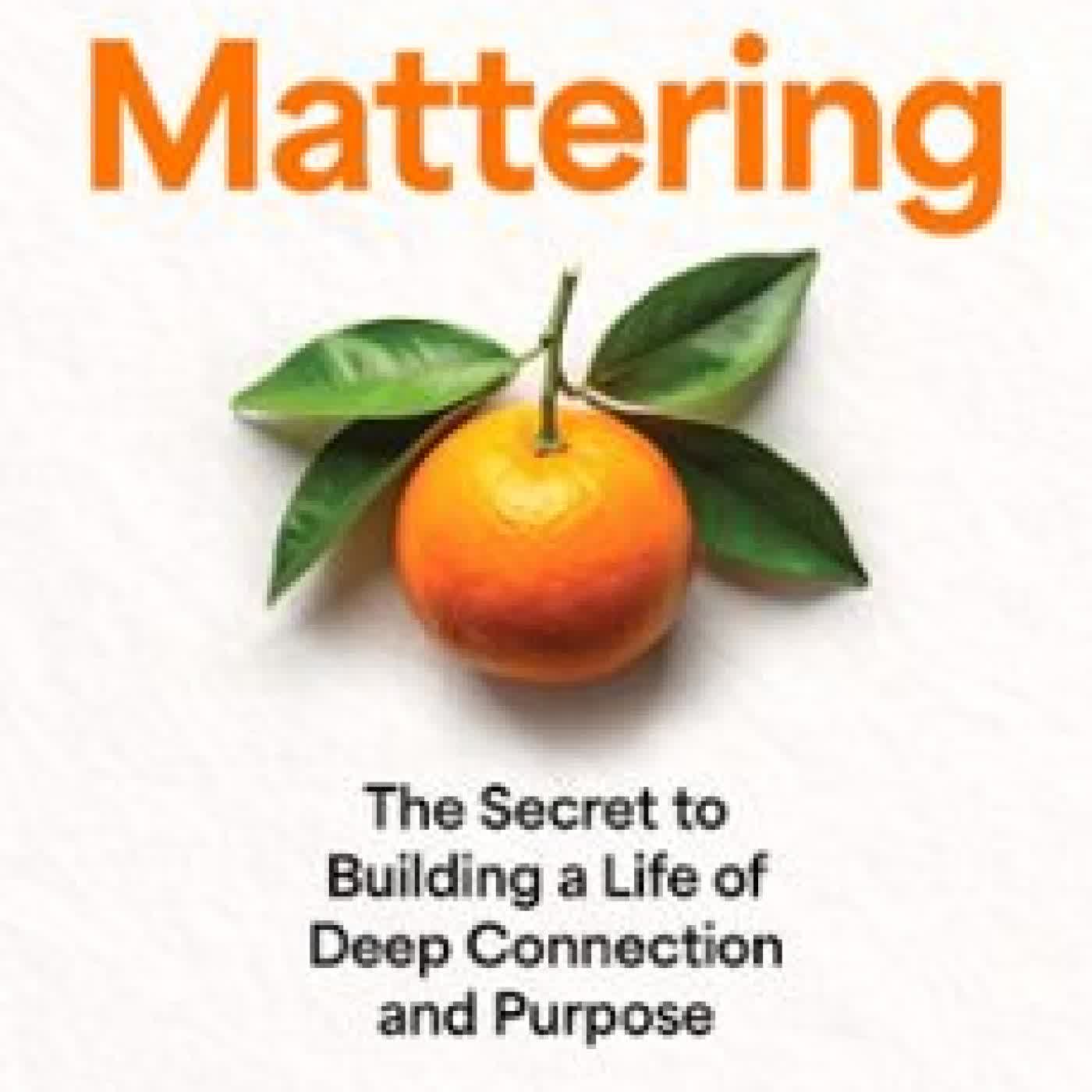 MATTERING JENNIFER BREHENY WALLACE