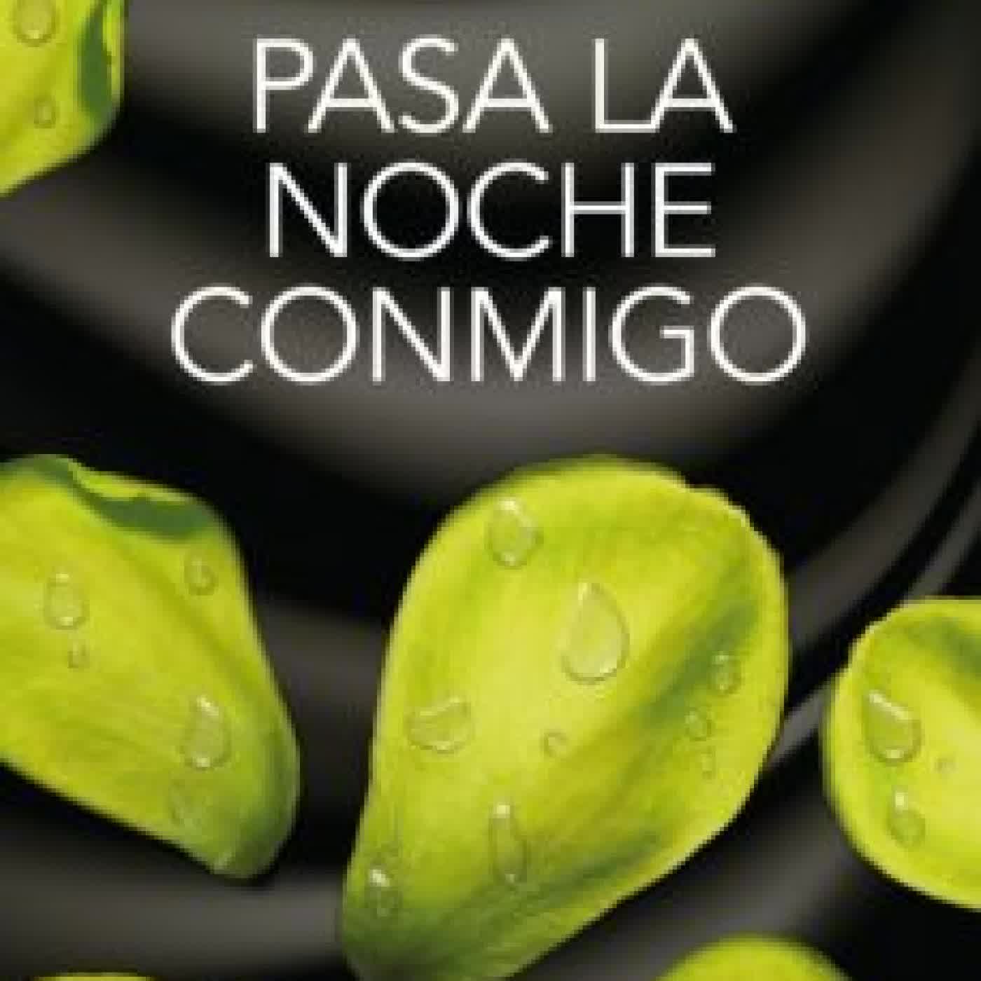 PASA LA NOCHE CONMIGO MEGAN MAXWELL