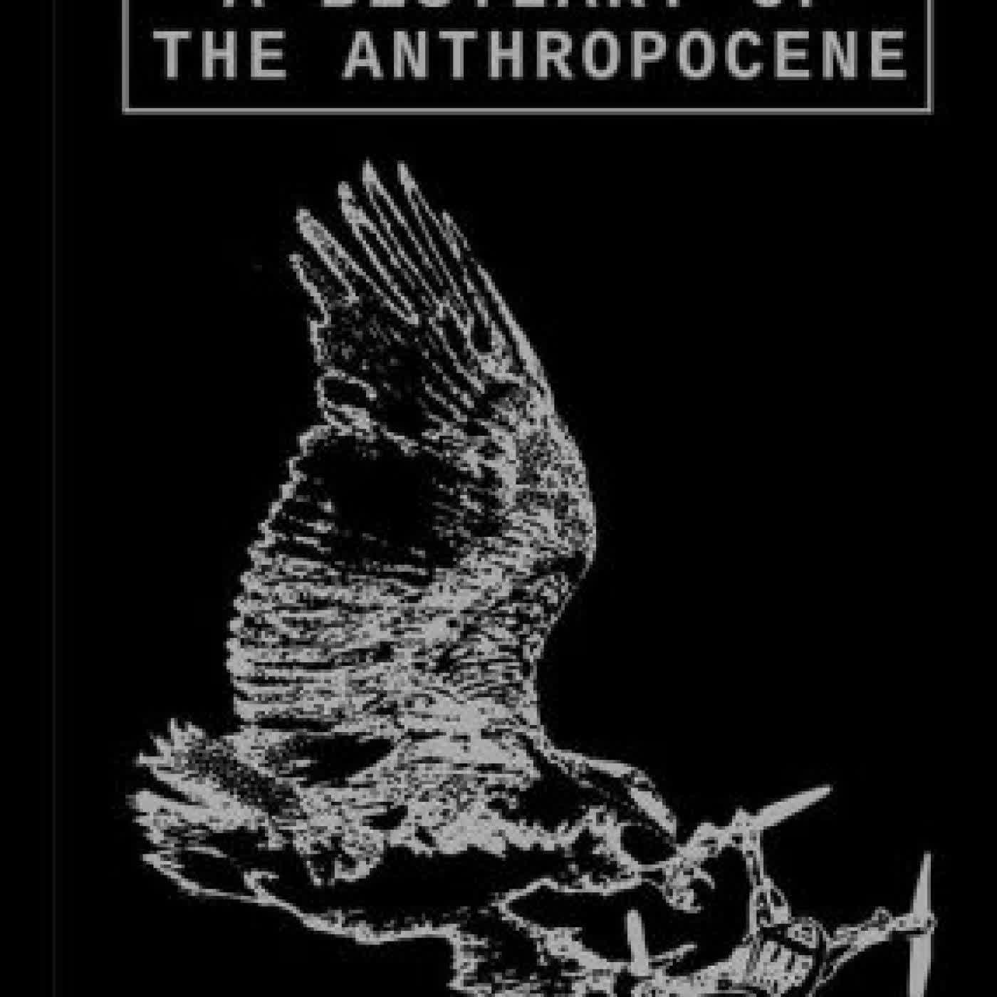 A Bestiary of the Anthropocene: Hybrid Plants, Animals, Minerals, Fungi, and Other Specimens by Benjamin Bratton, Nicolas Nova, Michel Lussault, Pauline Briand, Pierre-Olivier Dittmar on Iphone New Format