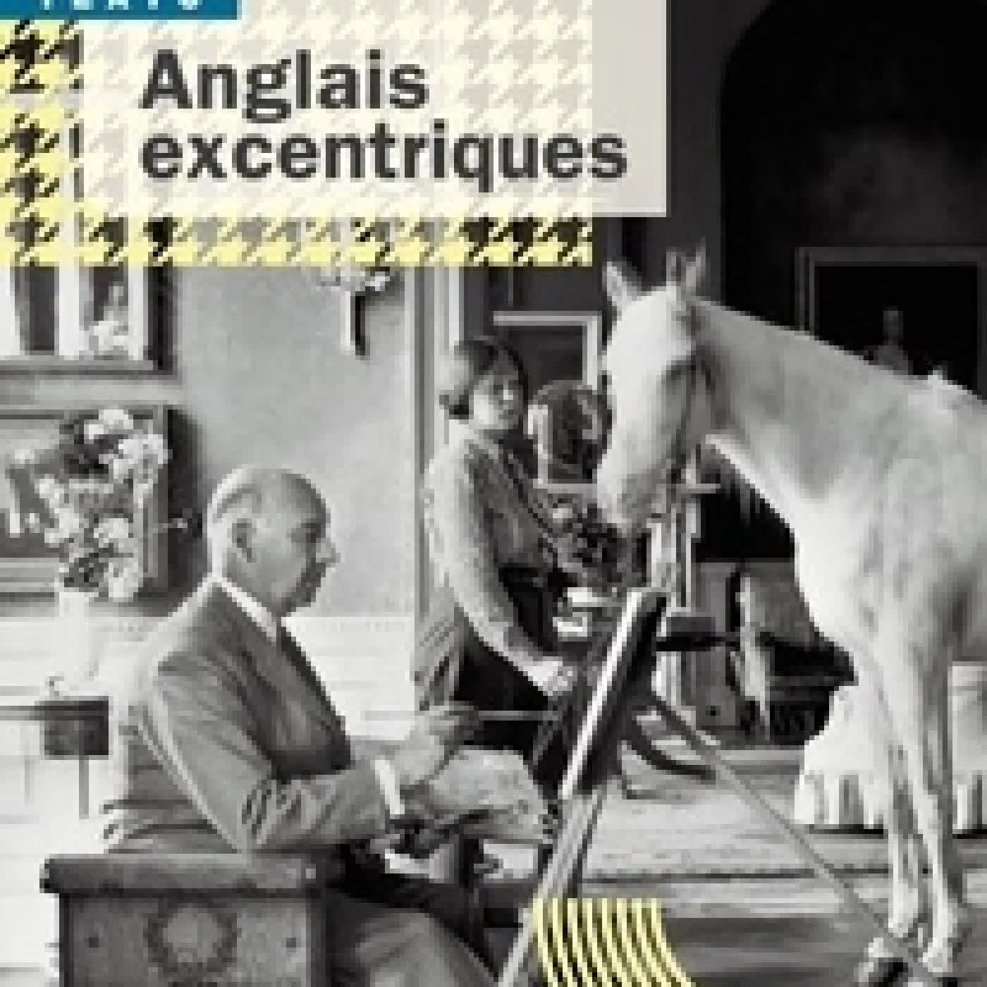 Télécharger Pdf Anglais excentriques