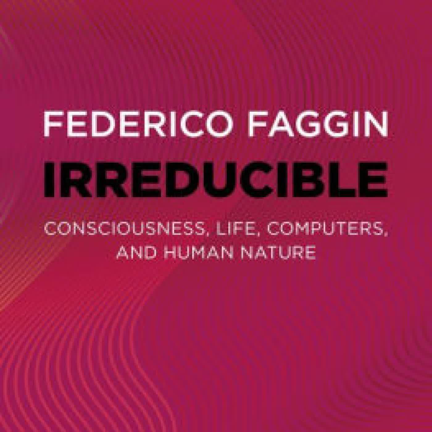 Irreducible: Consciousness, Life, Computers, and Human Nature by Federico Faggin on Iphone New Format