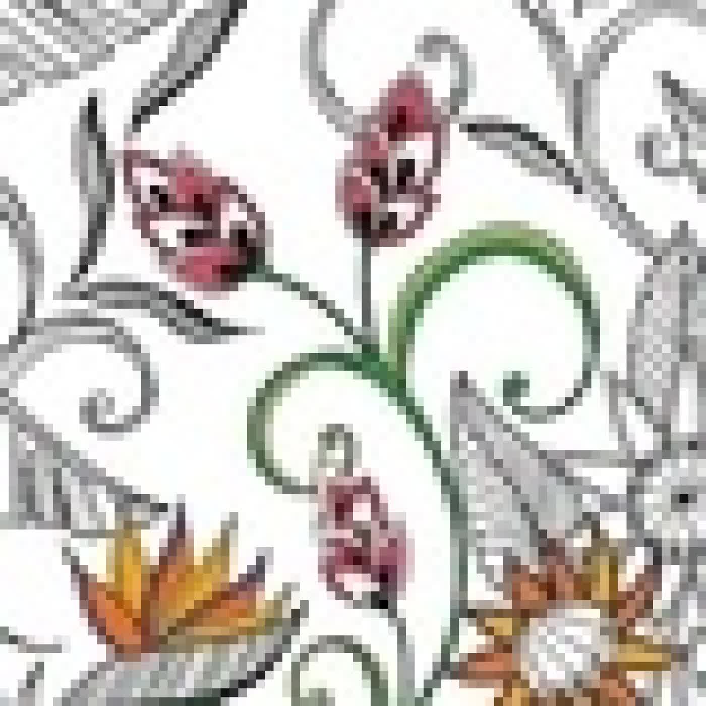 {téléchargement} Fleurs. Mes marque - pages à colorier