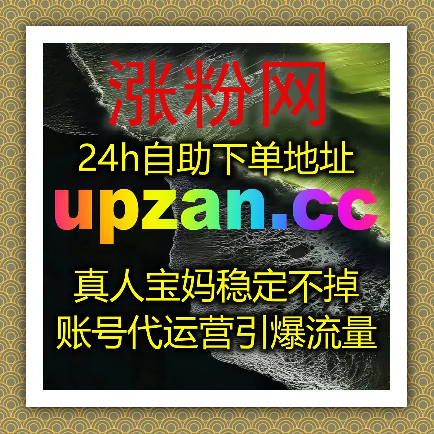 深耕多平台数据赋能，用稳定可靠服务守护账号长期健康成长 episode artwork